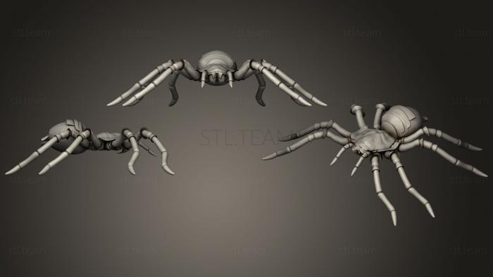 3D model Furry Spider (STL)